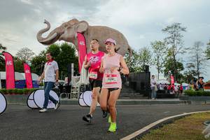 BIB: 
                            <button type="button" onclick="openModal(26528583)" class="btn btn-primary btn-sm float-right btn-popup" data-toggle="modal" data-target=".modal-high-quality">
                        <i class="fas fa-shopping-cart"></i> Add to Cart
                    </button>
                                            <button type="button" onclick="isThisMe(26528583, true)" class="btn btn-success btn-sm float-right btn-popup btn-isme hidden" data-toggle="tooltip" data-placement="bottom" title="นี่คือรูปของคุณใช่ไหม คลิกที่นี่เพื่อเอาเข้าอัลบั้ม">
                        <i class="fas fa-plus"></i> Add to album
                    </button>
                    <button type="button" onclick="isThisMe(26528583, false)" class="btn btn-warning btn-sm float-right btn-popup btn-isnotme hidden">
                        <i class="fas fa-ban"></i> Remove from album
                    </button>